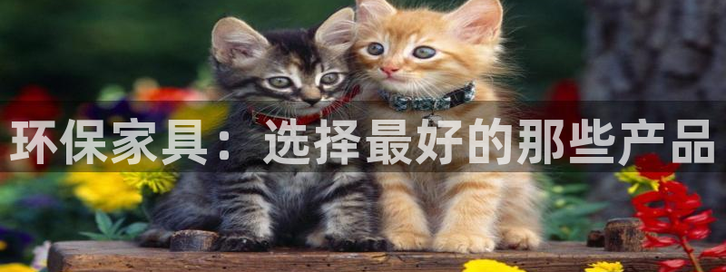 沐鸣平台专用通道：环保家具：选择最好的那些产品