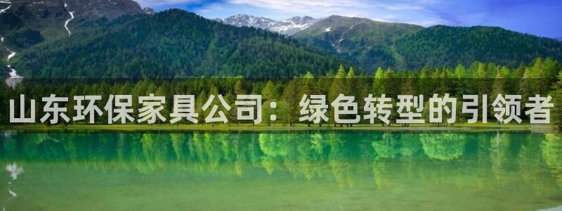 沐鸣平台线路测速：山东环保家具公司：绿色转型的引领者