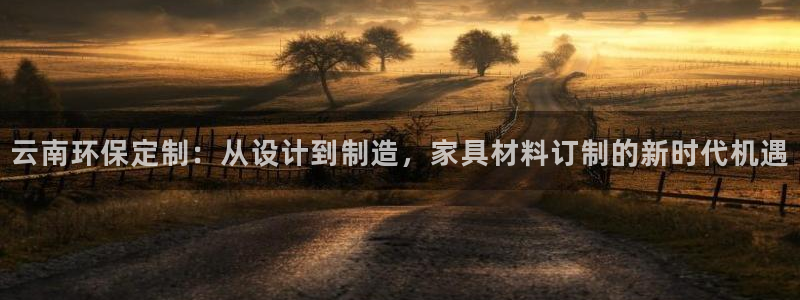 沐鸣平台登陆官网：云南环保定制：从设计到制造，家具材料订制的