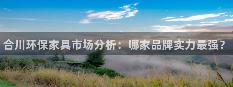 沐鸣平台服务中心是干嘛的：合川环保家具市场分析：哪家品牌实力
