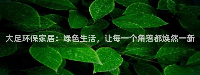 沐鸣平台登录检测：大足环保家居：绿色生活，让每一个角落都焕然