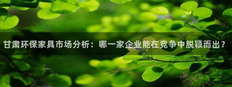 沐鸣平台手机app：甘肃环保家具市场分析：哪一家企业能在竞争