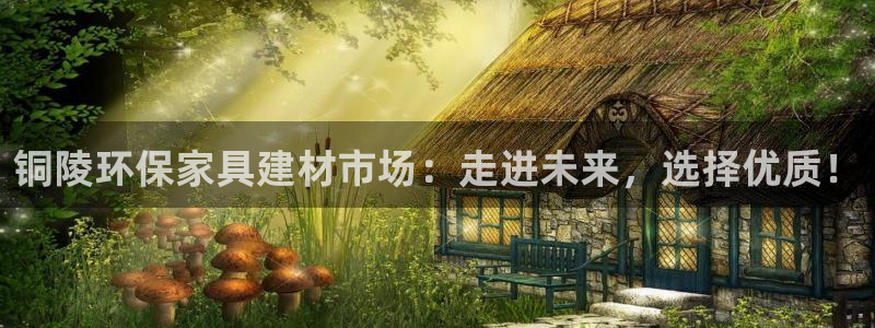 沐鸣平台专用通道：铜陵环保家具建材市场：走进未来，选择优质！