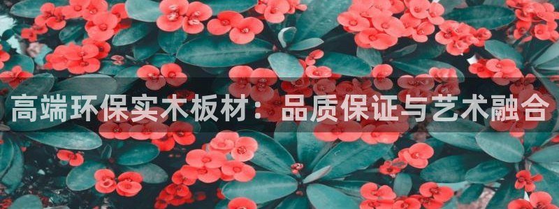 沐鸣平台登录网址：高端环保实木板材：品质保证与艺术融合