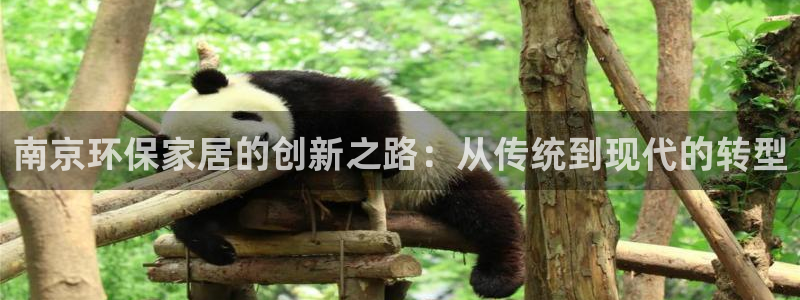 沐鸣平台指定：南京环保家居的创新之路：从传统到现代的转型